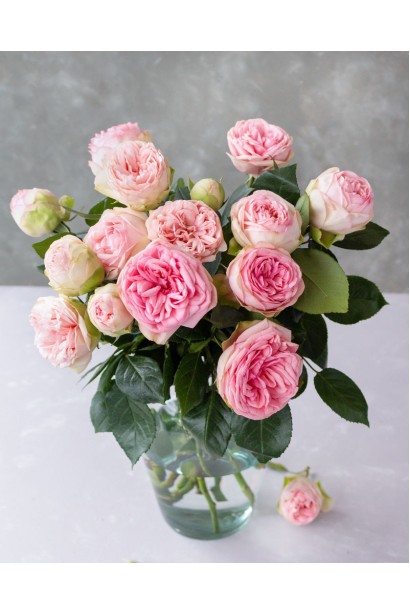 Букет троянд сорту Bridal Piano у вазі